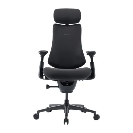 LiberNovo Omni Pro 48 cm Ergonomic Chair (Graphite)